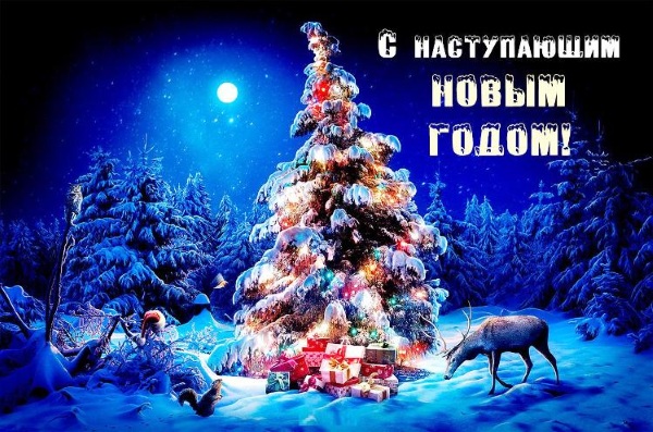 С Новым 2019 годом!