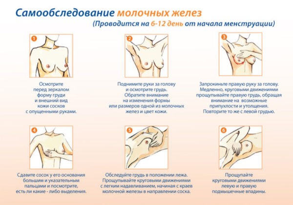 Профилактика рака молочной железы